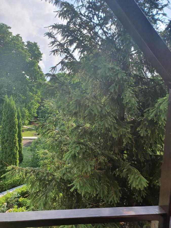 Casa Stefandra Hotell Breaza  Eksteriør bilde
